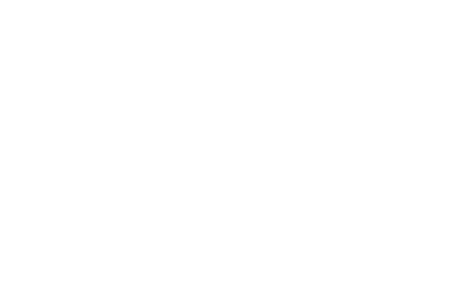 City of Tampa Florida logo